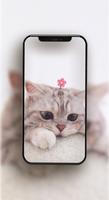 Cute Cat Wallpaper HD Affiche