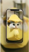Cute Cat Wallpaper HD capture d'écran 1