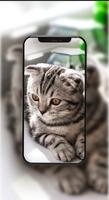 Cute Cat Wallpaper HD capture d'écran 2