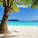 APK Gorgeous Wallpapers