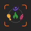 CapCal AI: AI Calorie Tracker icon