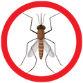 Mosquito Sound