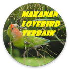 Makanan Lovebird Terbaik biểu tượng