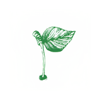 Thecountry.app ไอคอน
