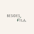 Besides TE