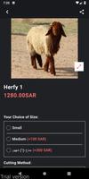 ذبائح ركائز نجد screenshot 1