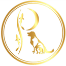 River Moon APK
