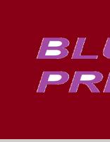 BLUE PRESS اسکرین شاٹ 1