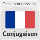 Test en Conjugaison - Français APK