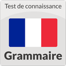 Test en Grammaire - Français APK