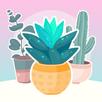 Click and Bloom APK