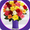 Les plus belles boîtes à fleurs et fleurs APK