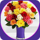 The most beautiful flower boxes and flowers APK