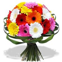 Les plus belles boîtes à fleurs et fleurs Affiche