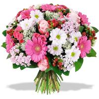 Les plus belles boîtes à fleurs et fleurs capture d'écran 1
