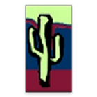 ikon Cactus Cycling