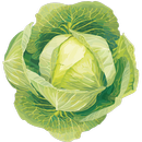 문가네 김치 - moongafood APK