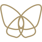 파팔라 icon