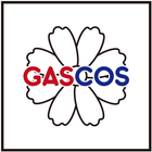 가스코스 icon