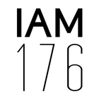 iam176 icon