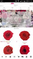 프리저브드 코리아 poster