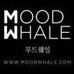 매일 사입하여 저렴한 여성의류-무드웨일