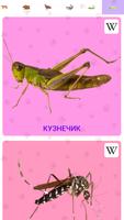 Звуки животных скриншот 3
