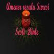 AMENER RESULU  SESLİ DİNLE