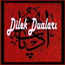 TESİRLİ DİLEK DUALARI APK