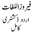 Feroz ul lughat فیروز اللغات APK