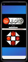Feroz ul lughat فیروز اللغات screenshot 1