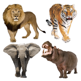 Animal Sounds APK