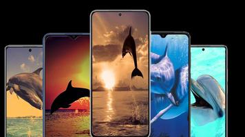 Dolphin wallpaper پوسٹر