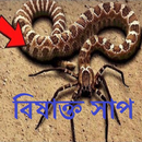 APK বিষাক্ত সাপ