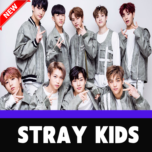 Stray Kids Songs KPop Offline - Back Door