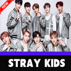 Stray Kids Songs KPop Offline - Back Door icône