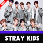 Stray Kids Songs KPop Offline - Back Door ikona