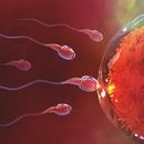 Best Ways to Increase Sperm Count APK