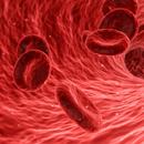 thalasemia the disease APK