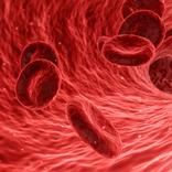 thalasemia the disease