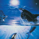Whale HD Wallpapers APK