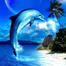 Dolphin HD Wallpapers APK