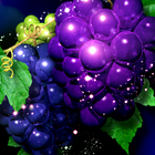 Grapes HD Wallpapers icône