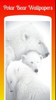 Polar Bear HD Wallpapers Affiche