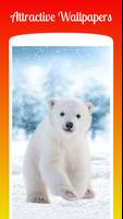 Polar Bear HD Wallpapers capture d'écran 1
