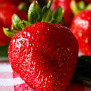 Strawberry HD Wallpapers APK