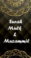 Surah Mulk poster