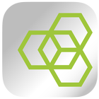 BRAINBEEapp icon