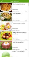 Recetas de segundo plato captura de pantalla 2