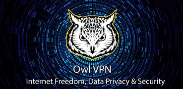 Owl VPN  PIA Secure Proxy Net